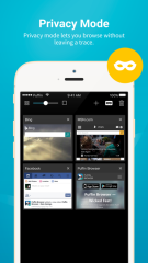 Puffin Browser Pro 1